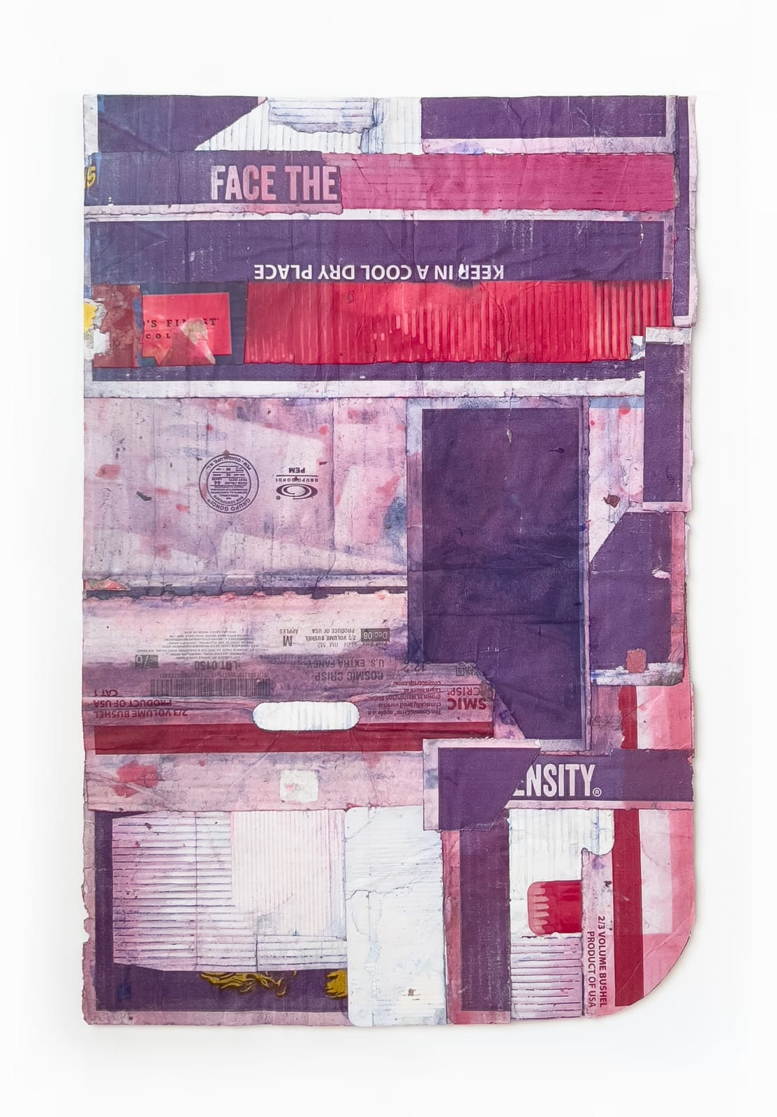 Jodi Hays, Cool Dry, 2023