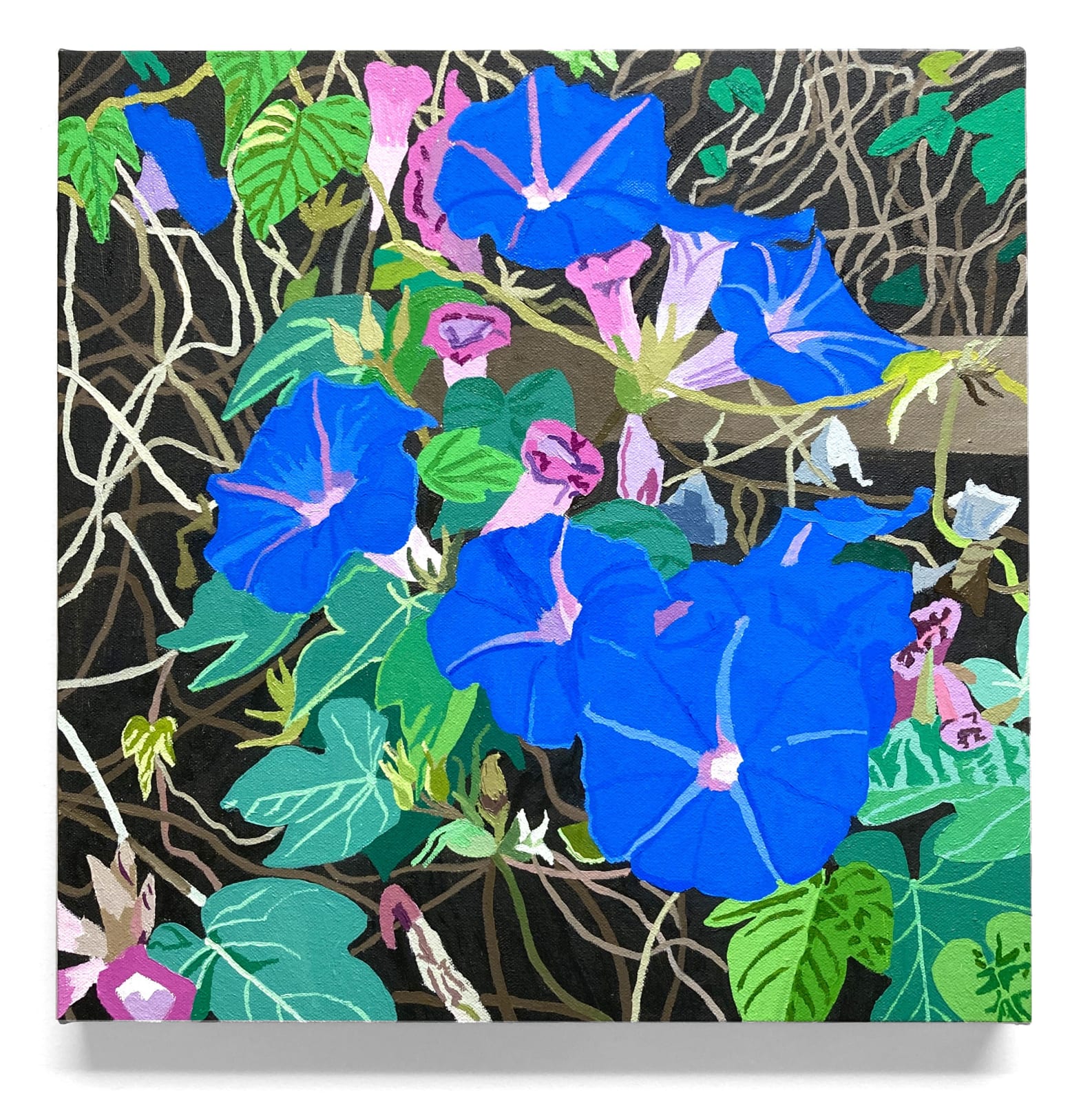 Lisa Rock, Morning Glories, 2023