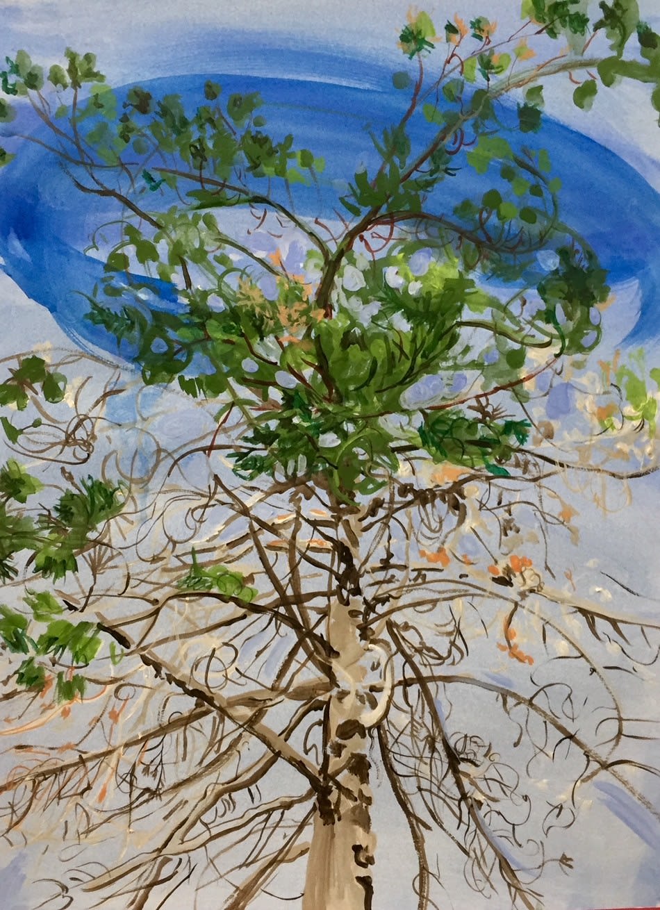 Claire McConaughy, Tree Studies #3, 2019