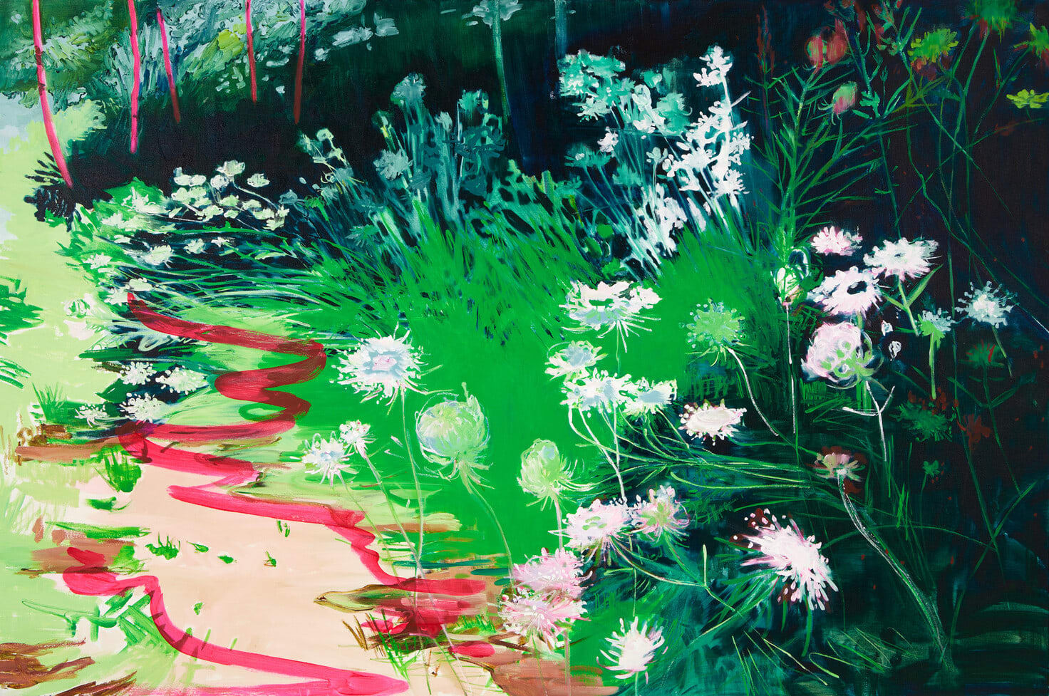 Claire McConaughy, Queen Anne's Lace August, 2023