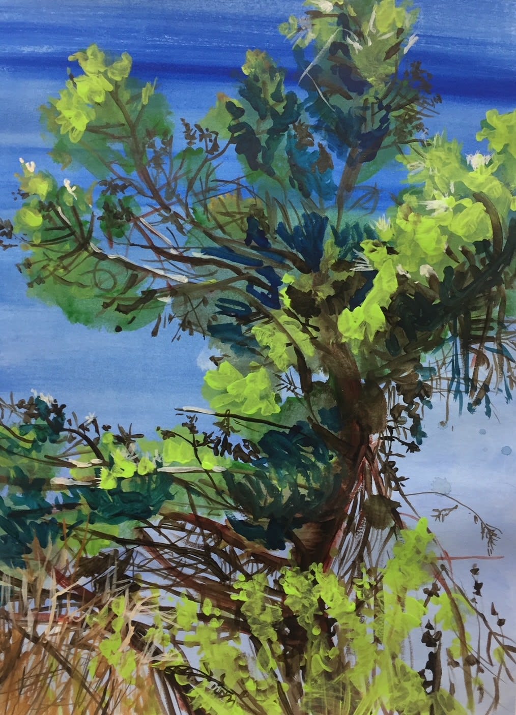 Claire McConaughy, Tree Studies #1, 2019