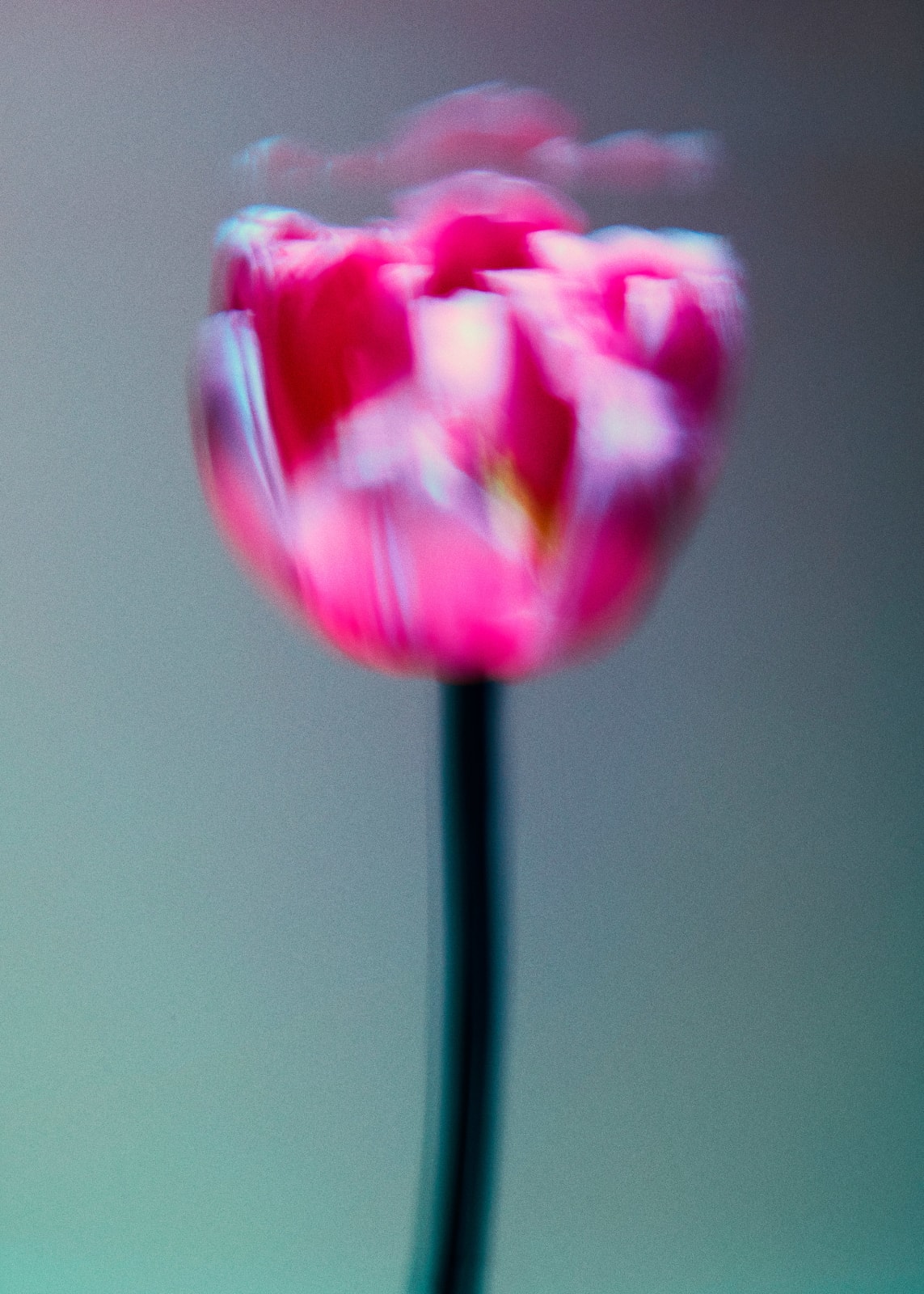 Valentin Fougeray, Chantal_13, 2024