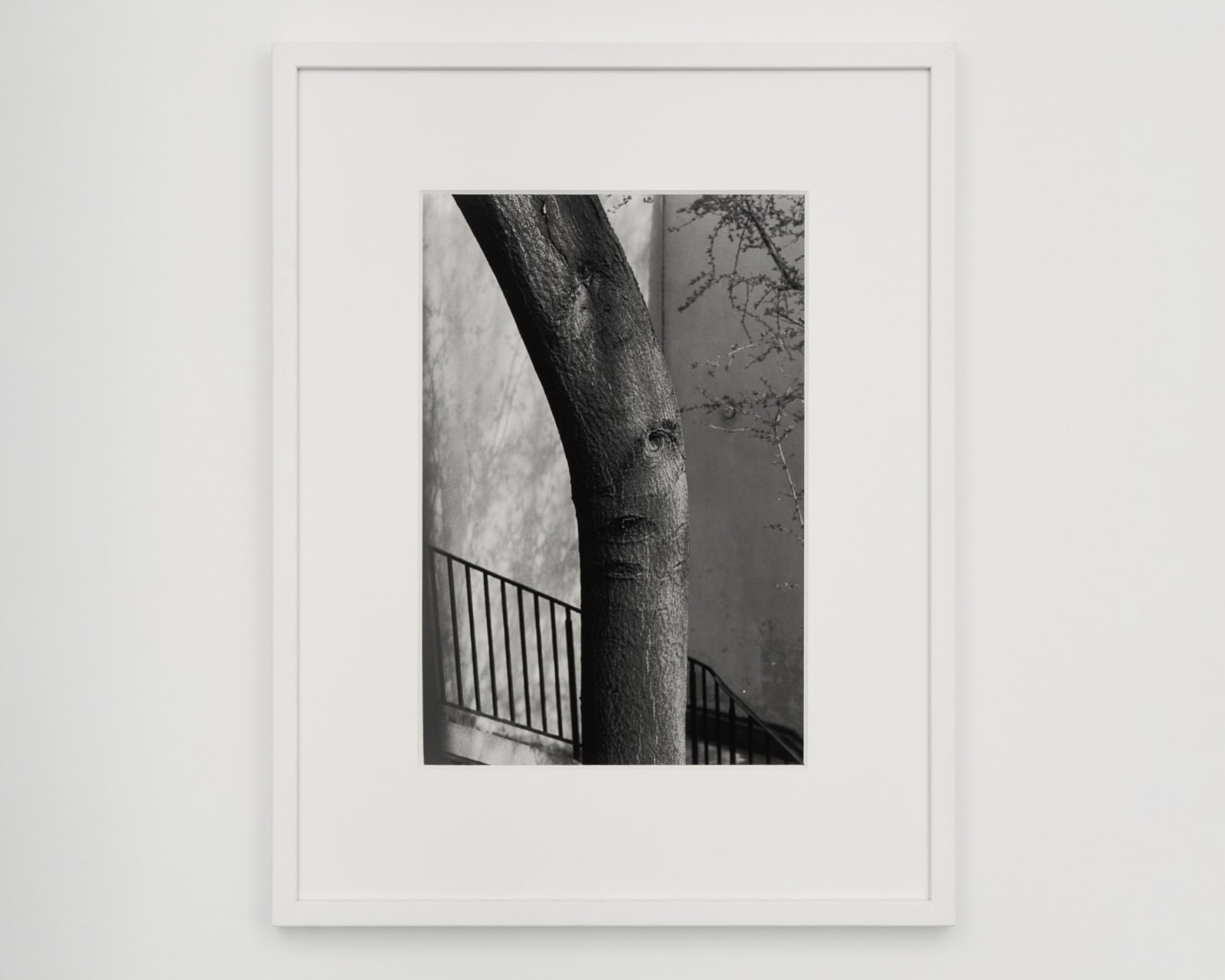 Tom Sandberg, Untitled, 2010