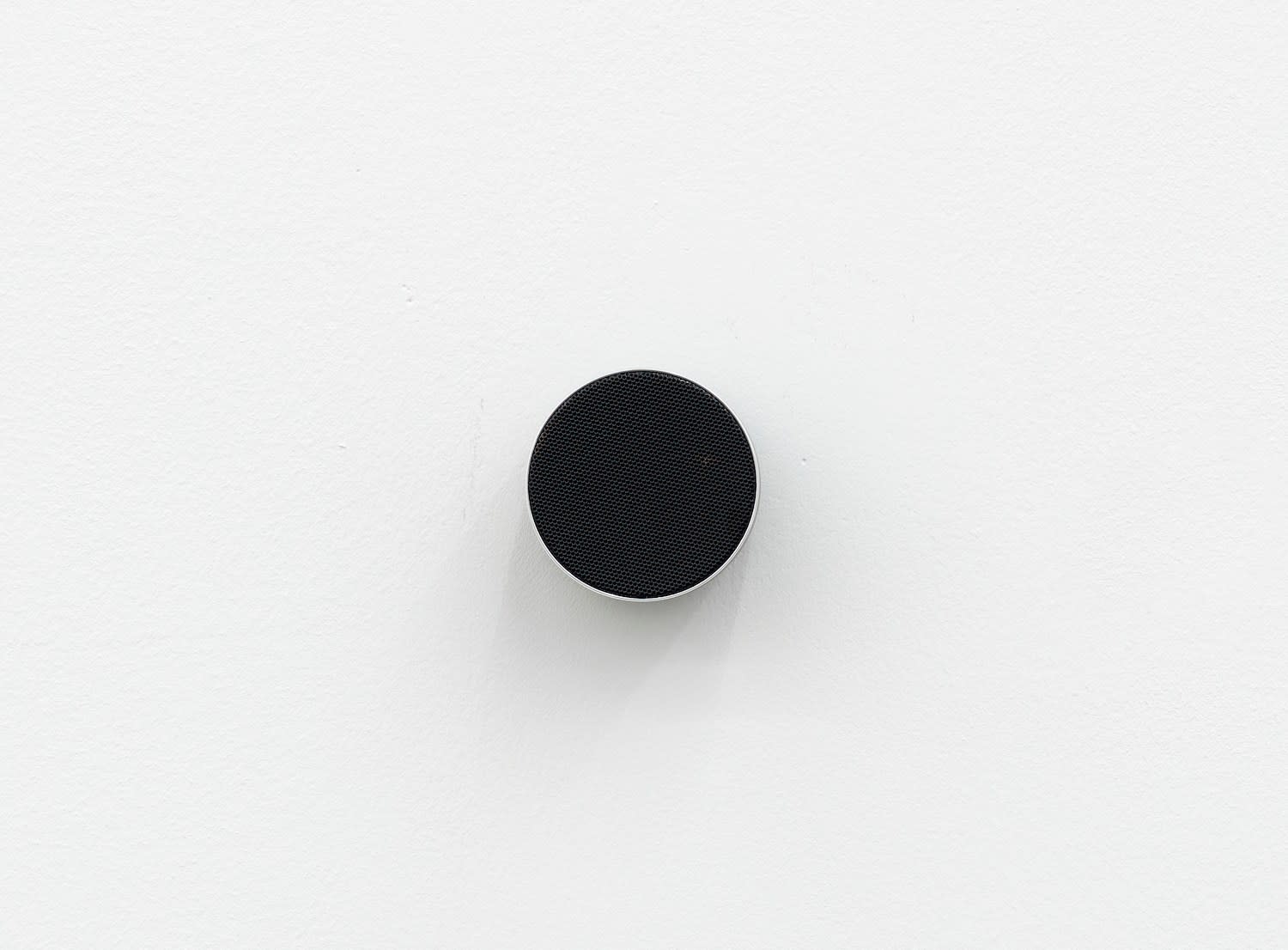 Eau Pernice, Haneloså Eat Sundnis, 2020 - 2022