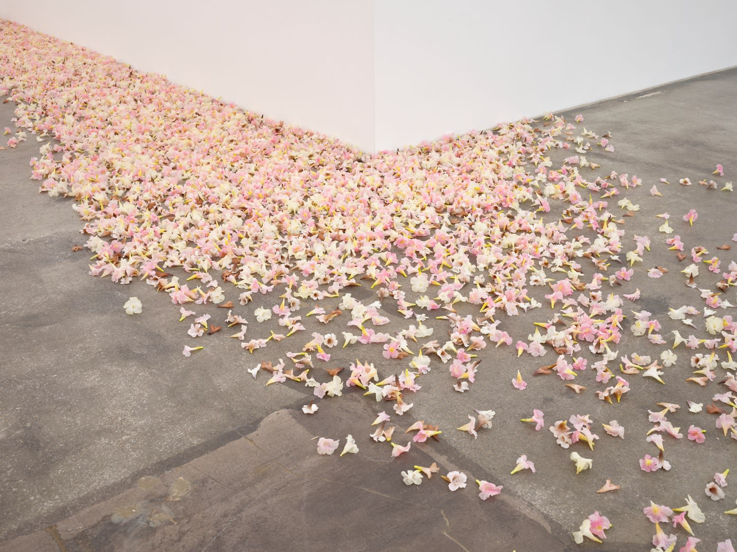 Allora & Calzadilla, Graft, 2021
