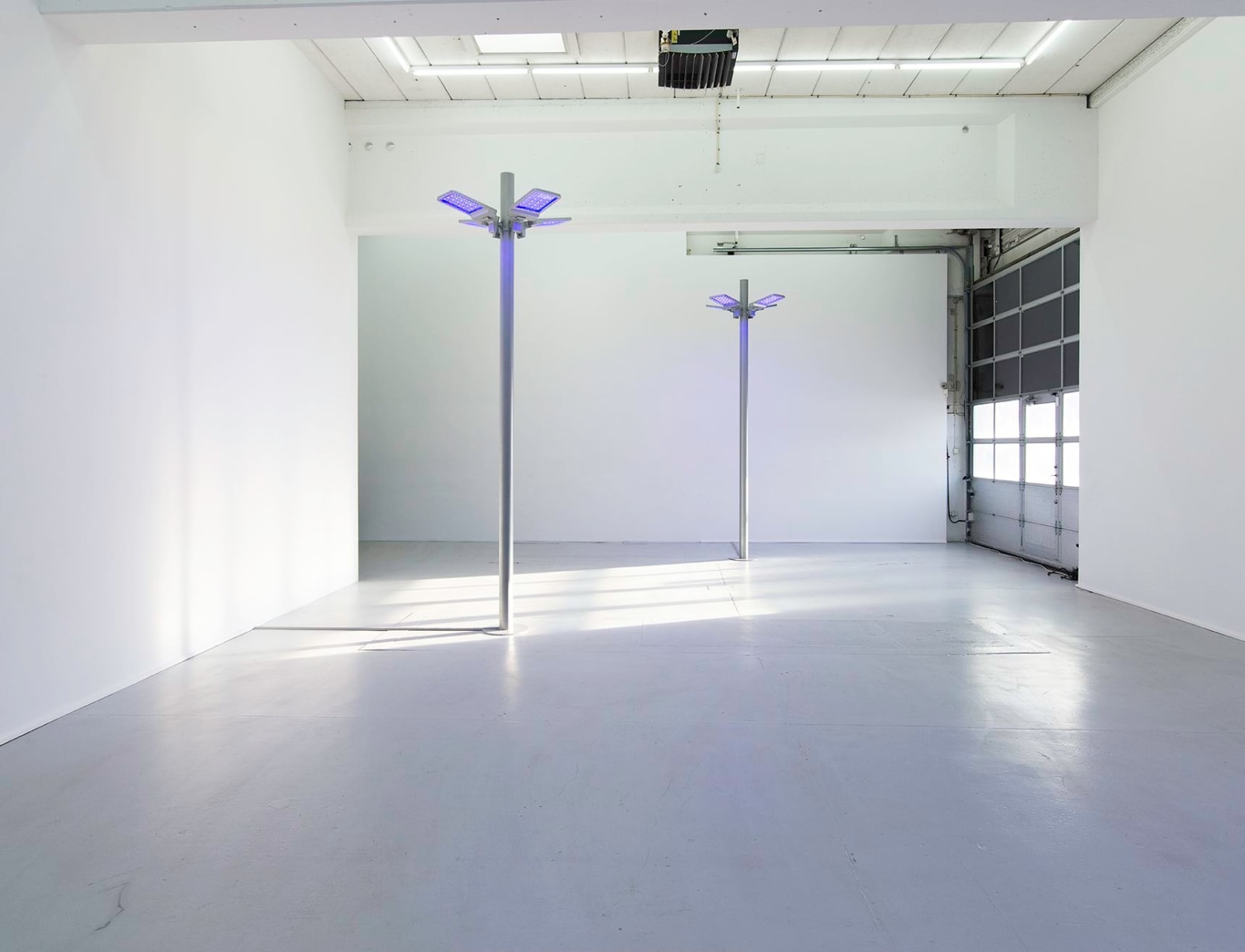 Gardar Eide Einarsson, Distinct Functional Layers Help Establish Hierarchy and Order, 2016