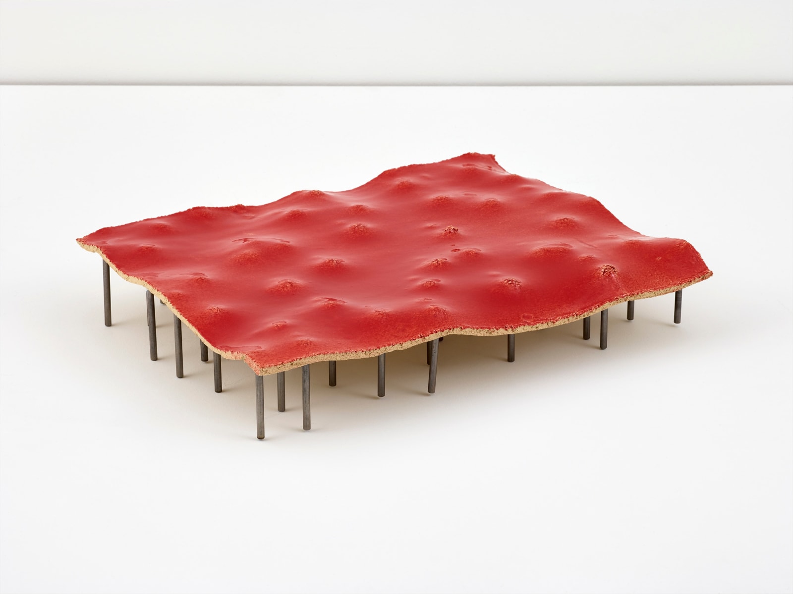 Tove Storch, Untitled, 2019