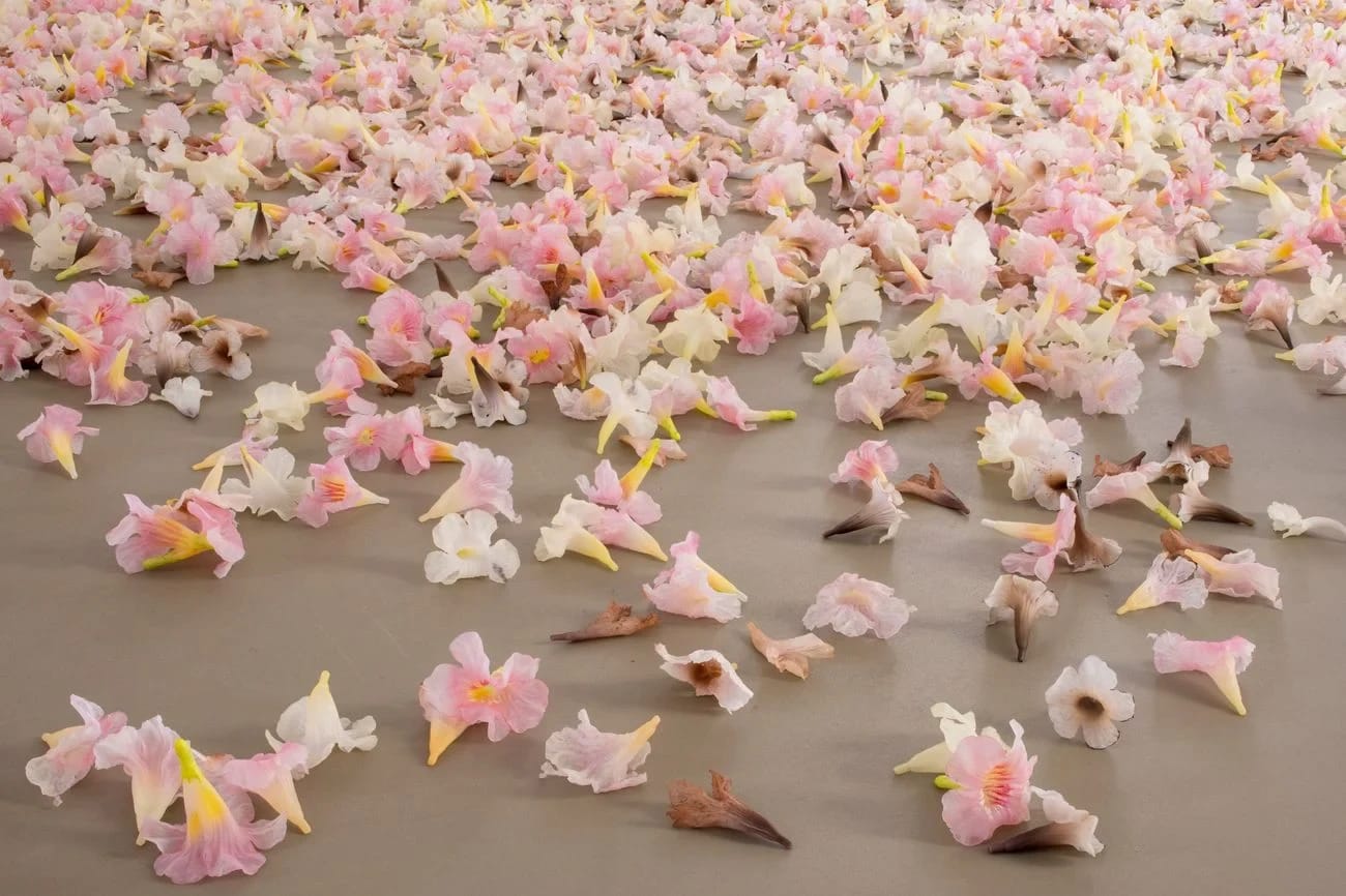 Allora & Calzadilla, Graft, 2021