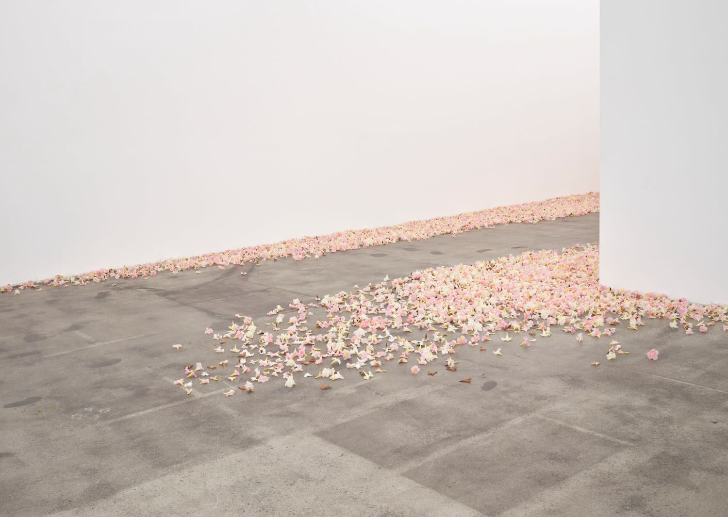 Allora & Calzadilla, Graft, 2021