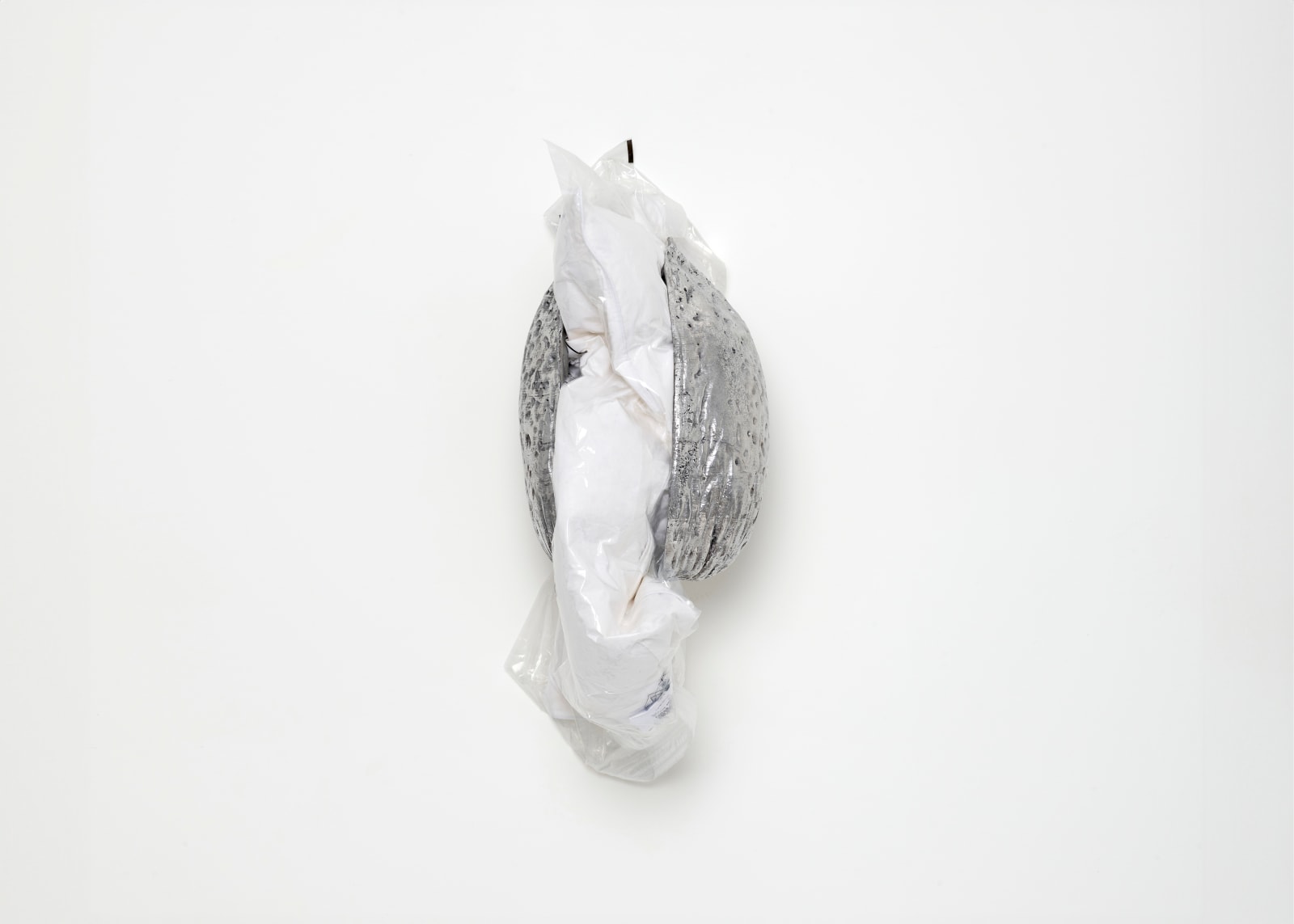 Tania Pérez Córdova, Lungs, 2024