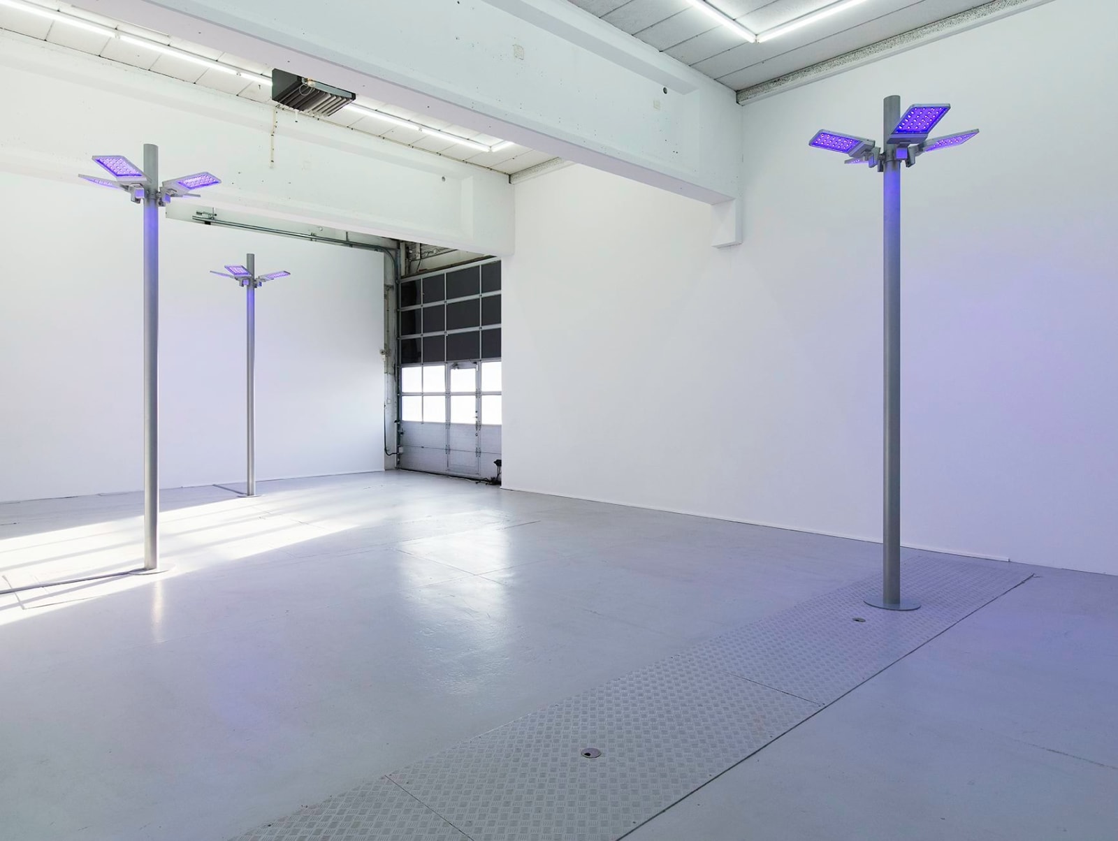 Gardar Eide Einarsson, Distinct Functional Layers Help Establish Hierarchy and Order, 2016