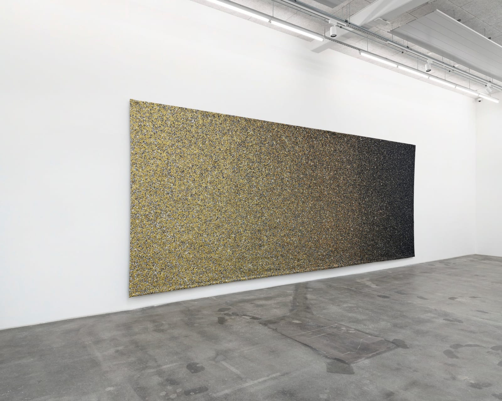 Miriam Bäckström, New Enter Image I, 2016