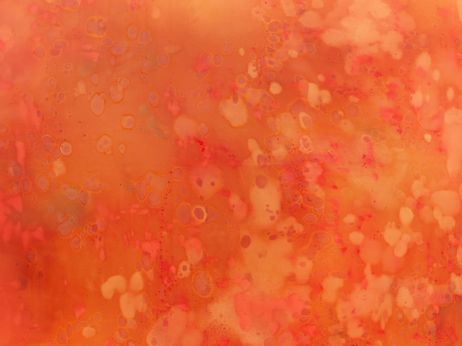 Rebecca Lindsmyr, Untitled (Plansch #2), 2022