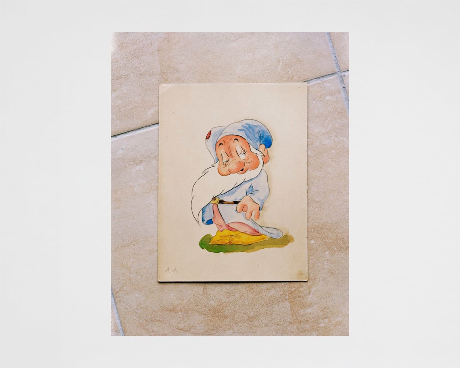 Torbjørn Rødland, Disney's Bashful by Hitler, 2008-10