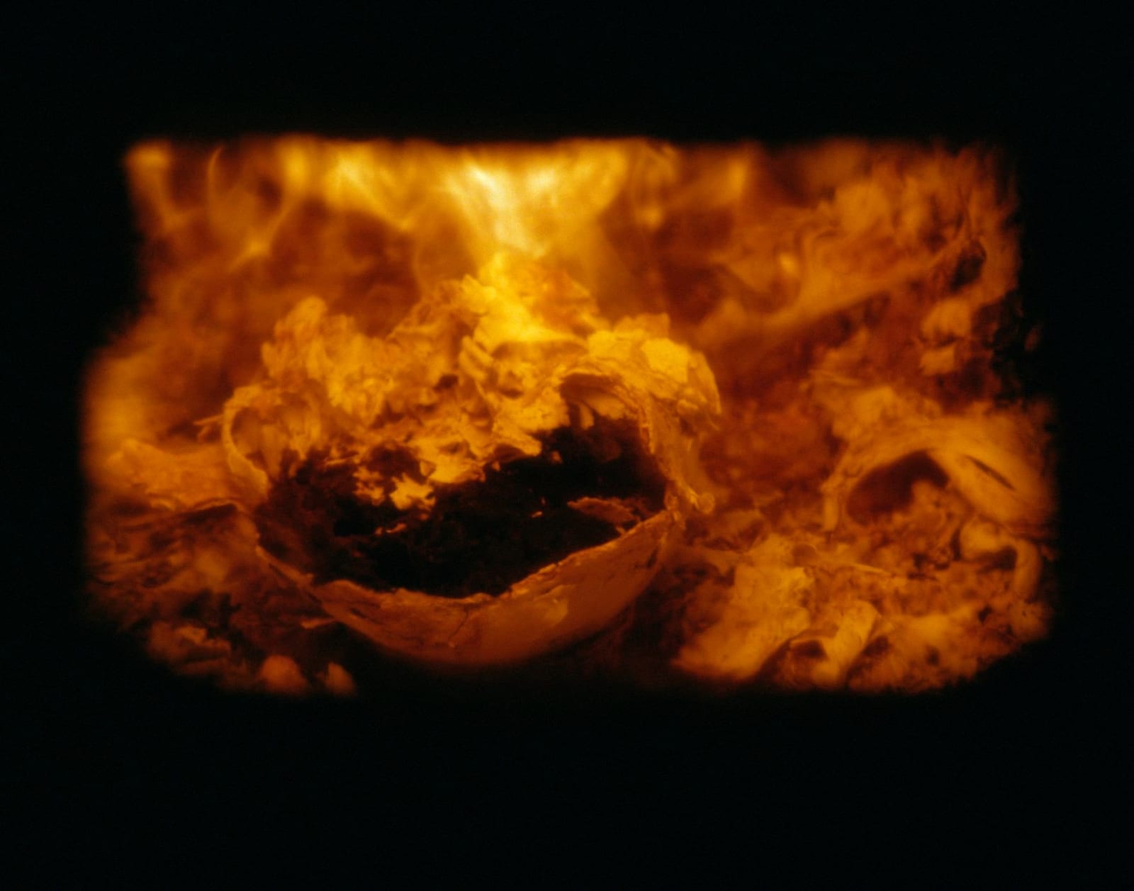 Torbjørn Rødland, Burning Skull no. 1, 2008-10