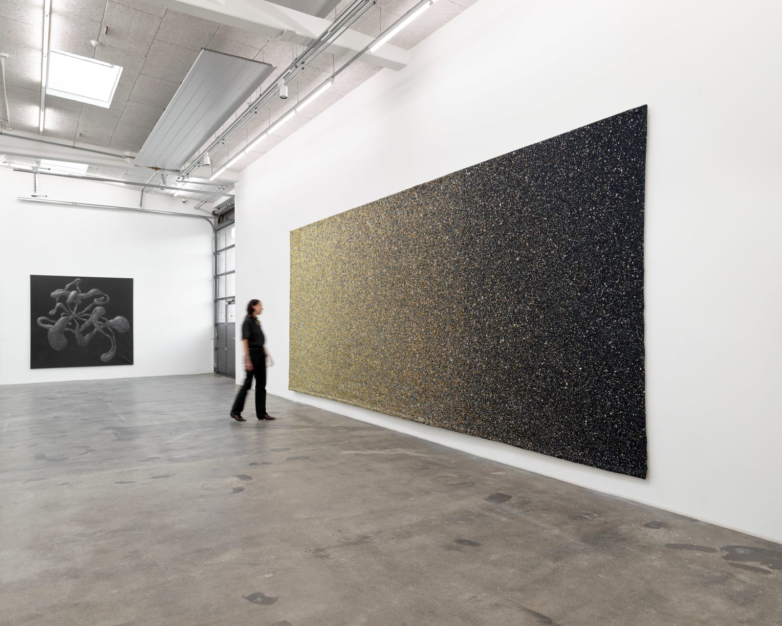 Miriam Bäckström, New Enter Image I, 2016