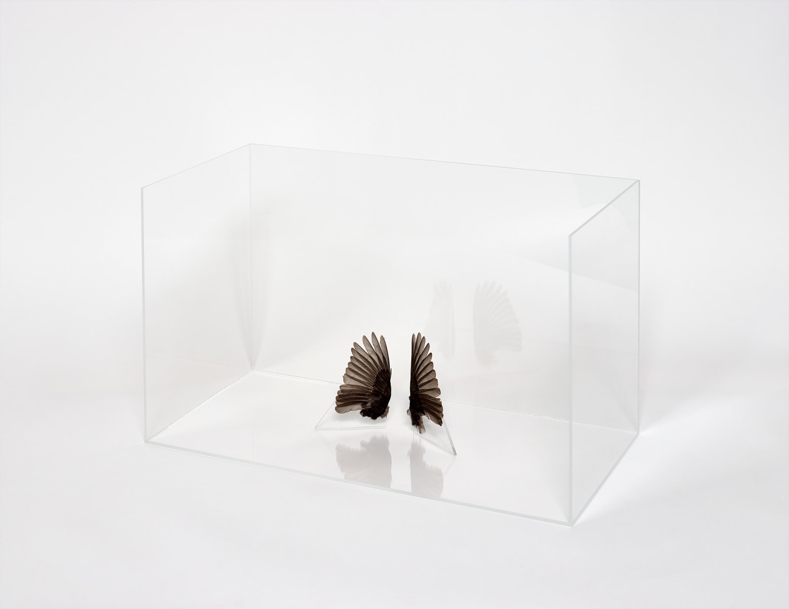 Charlotte Brüel, Invisible sculpture, 2020