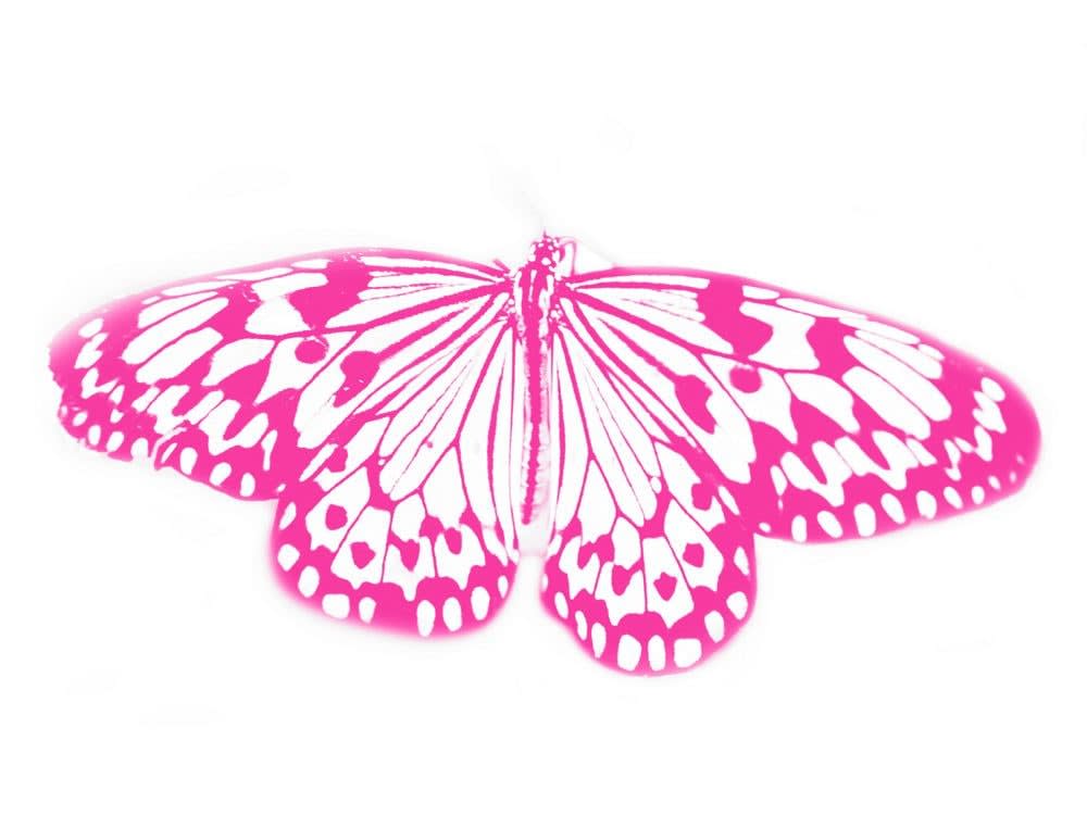 Mads Gamdrup, One Hour with Butterflies, 2003
