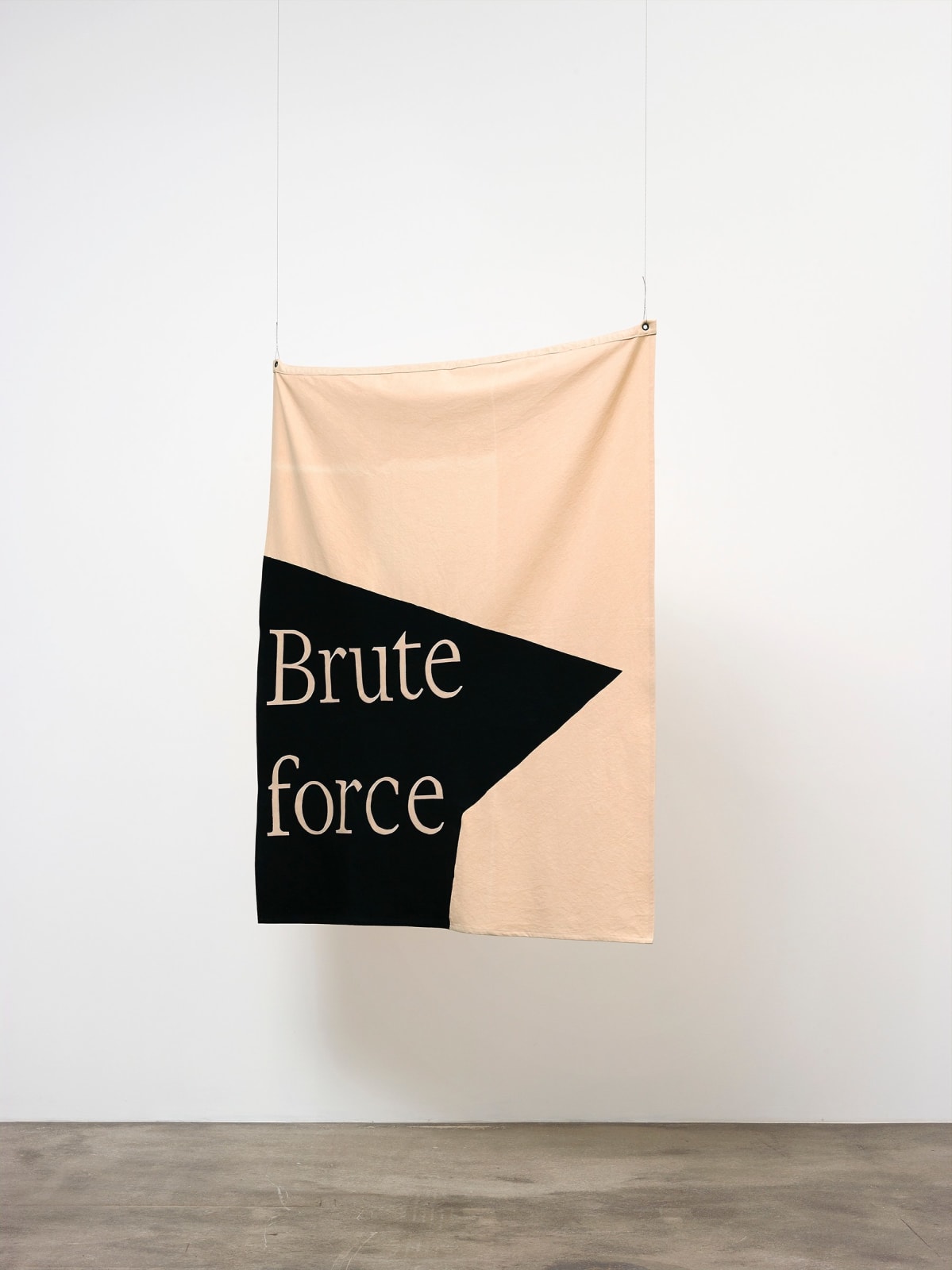 Gardar Eide Einarsson, Brute Force (Financial Times), 2018