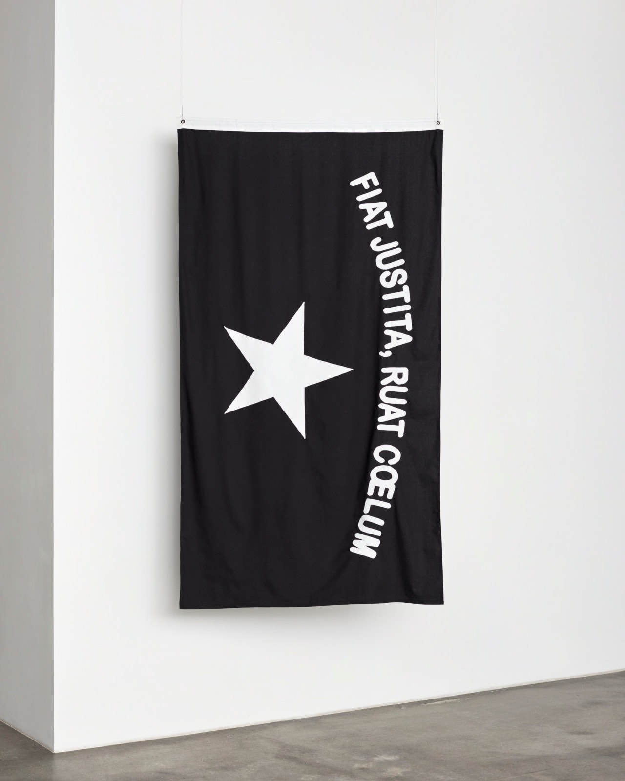 Gardar Eide Einarsson, Untitled (Fiat Justitia, Ruat Coelum), 2012