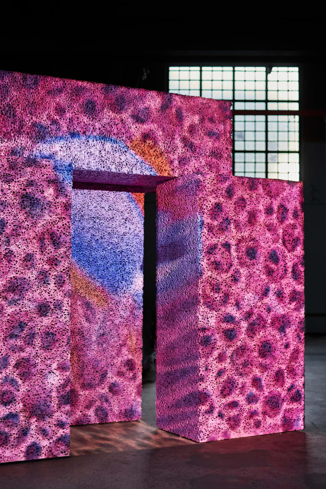 SUPERFLEX, Dive-in, 2019