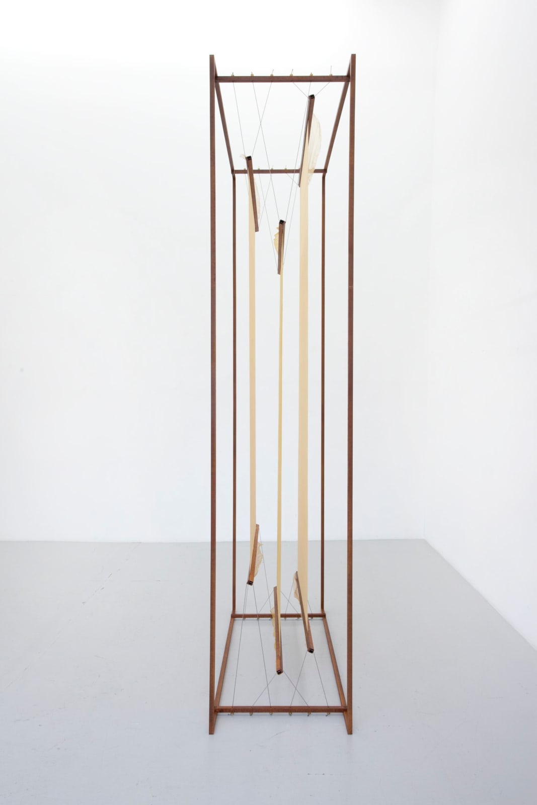 Tove Storch, Untitled, 2013