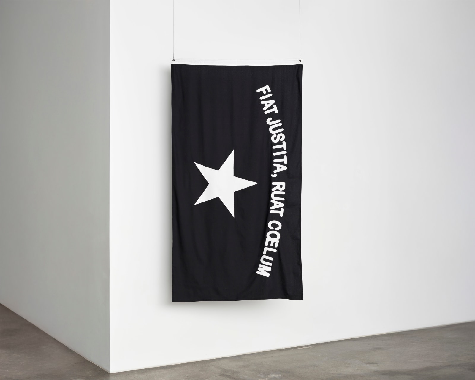 Gardar Eide Einarsson, Untitled (Fiat Justitia, Ruat Coelum), 2012