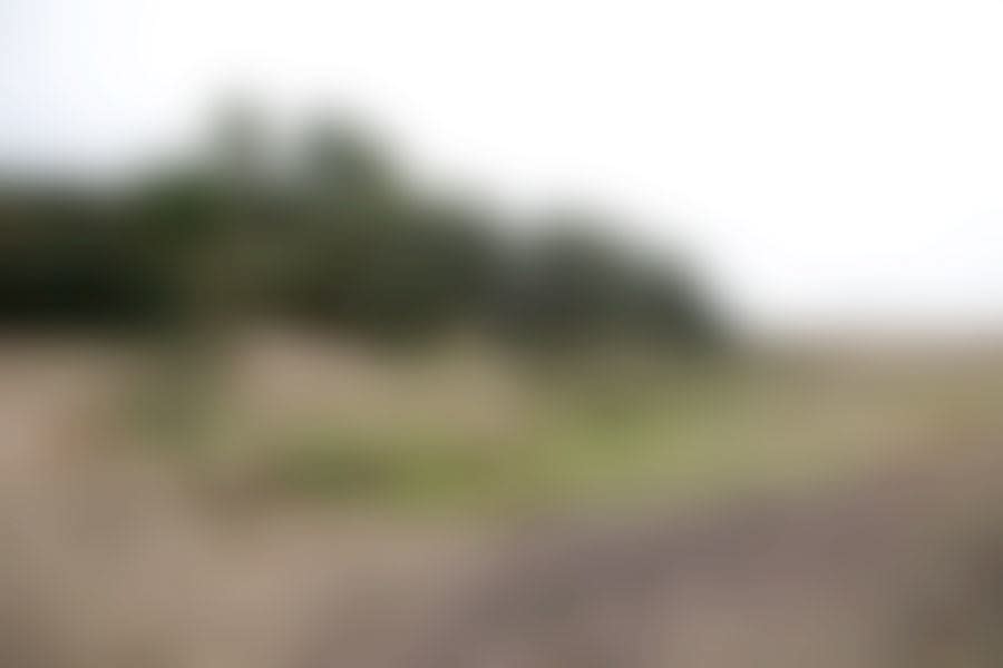 Mads Gamdrup, Danmark under forvandling, 2008-2009