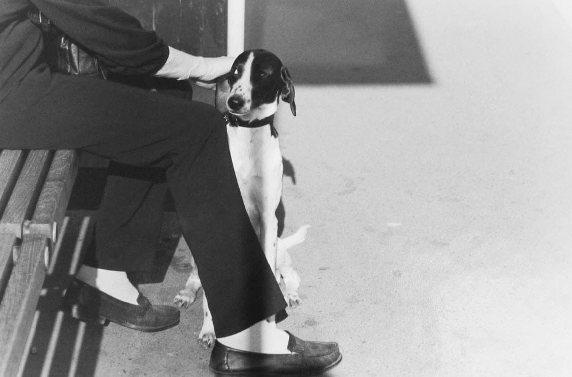 Tom Sandberg, Untitled, 2010