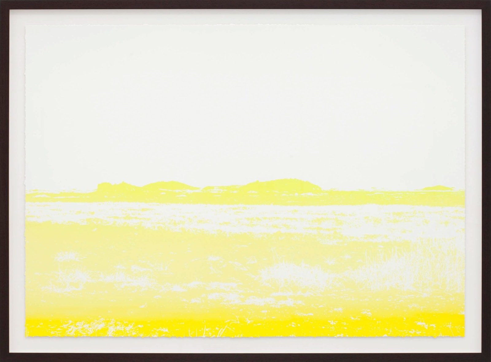 Mads Gamdrup, Organisches Detail und Lärm, 2012