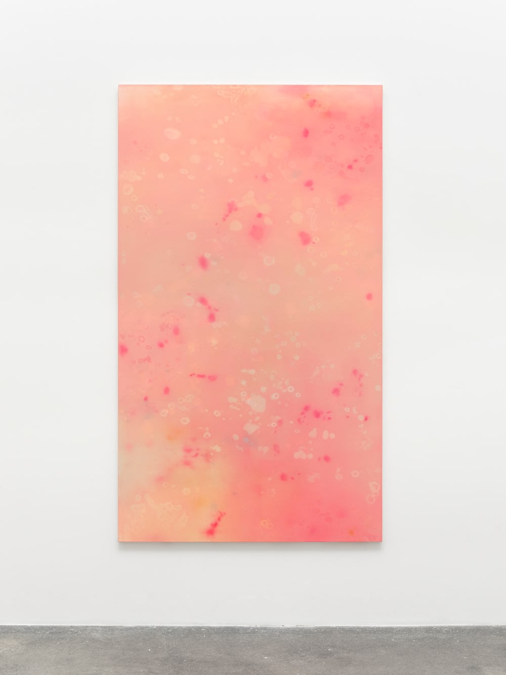 Rebecca Lindsmyr, Untitled (Plansch #6), 2022