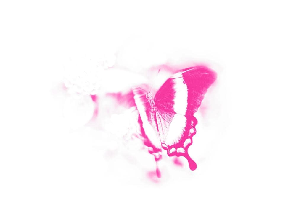 Mads Gamdrup, One Hour with Butterflies, 2003