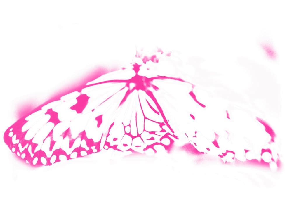 Mads Gamdrup, One Hour with Butterflies, 2003