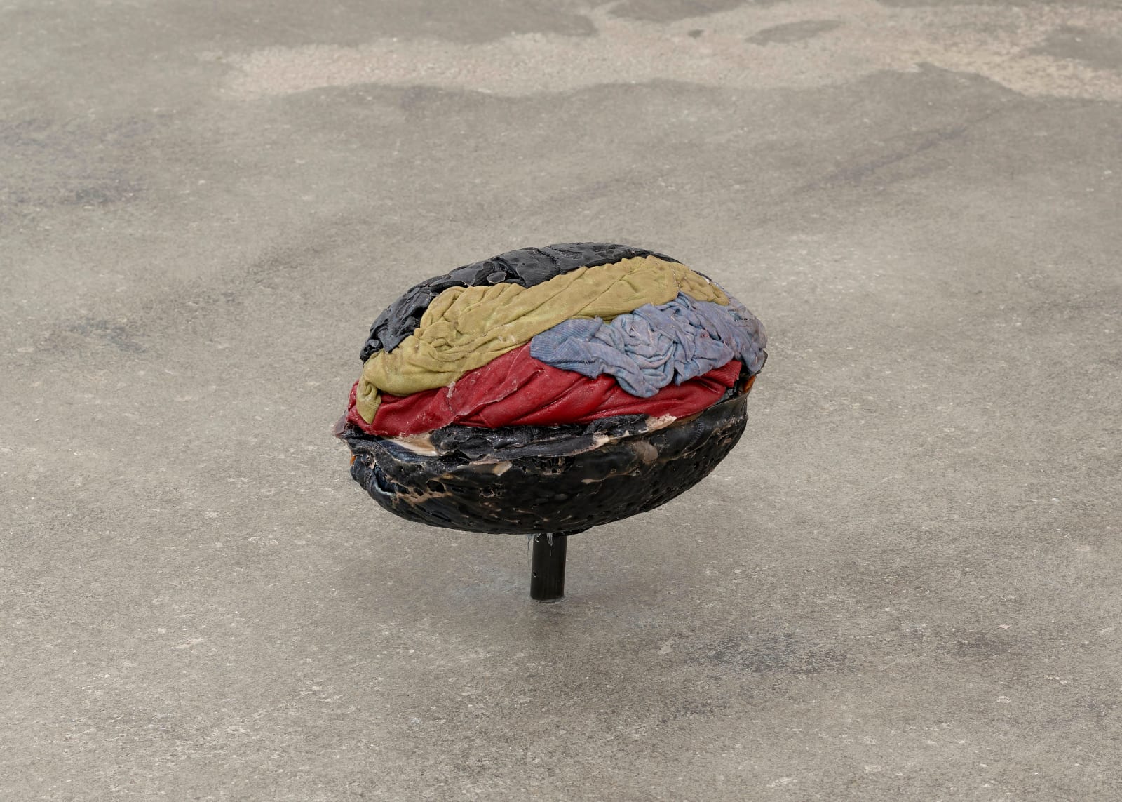 Tania Pérez Córdova, Brain, 2024