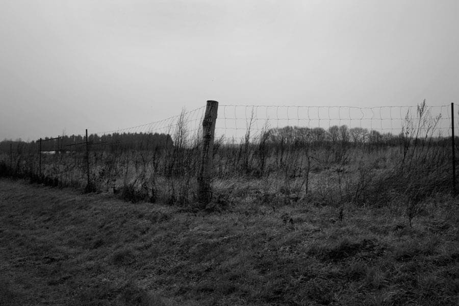Mads Gamdrup, Danmark under forvandling, 2008-2009