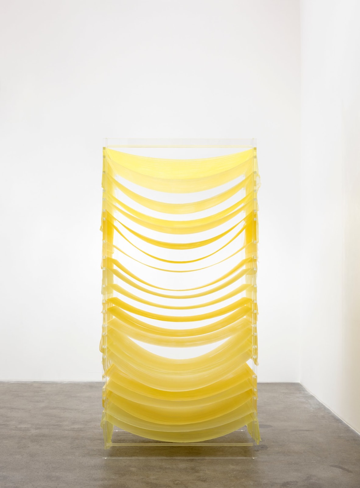 Tove Storch, Untitled, 2022