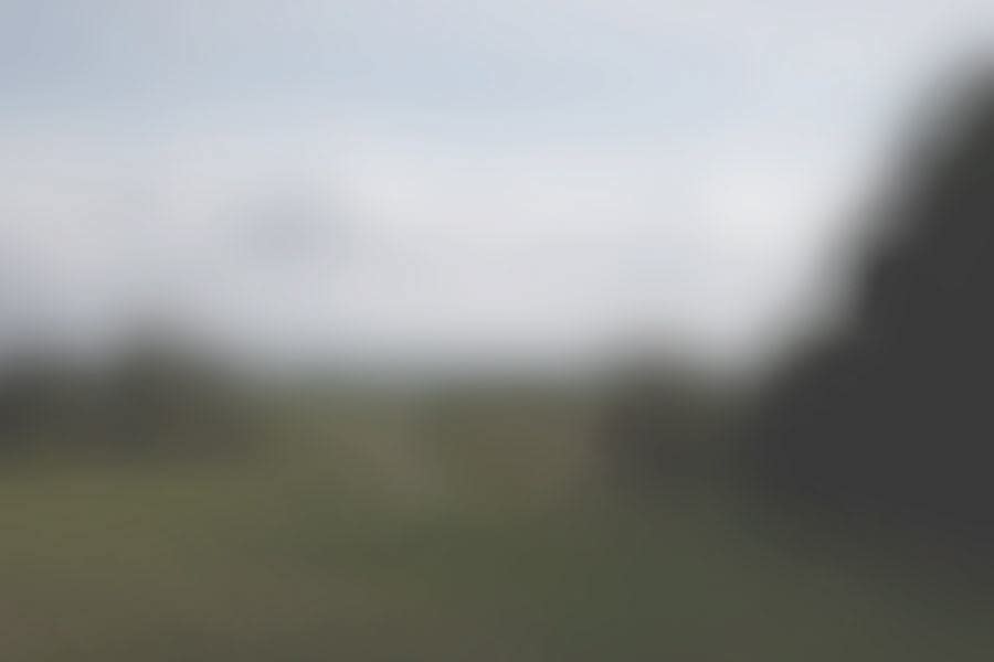 Mads Gamdrup, Danmark under forvandling, 2008-2009