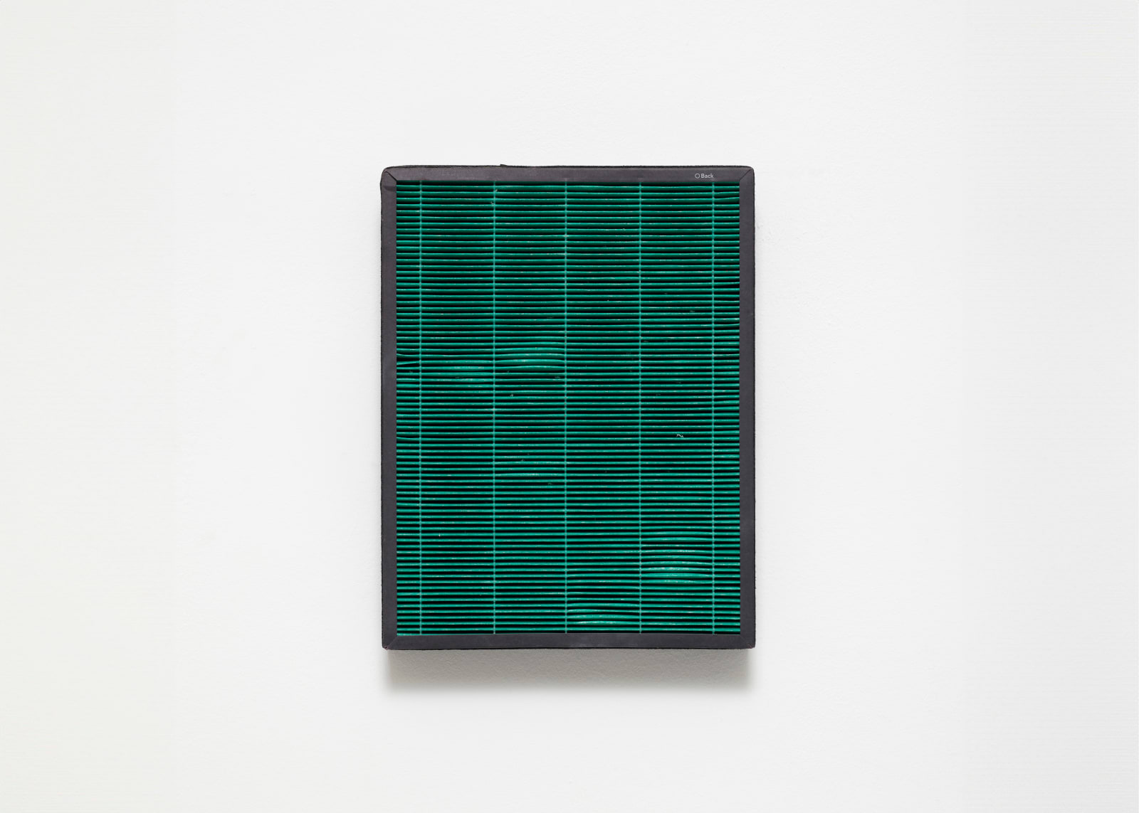Tania Pérez Córdova, Home, 2024