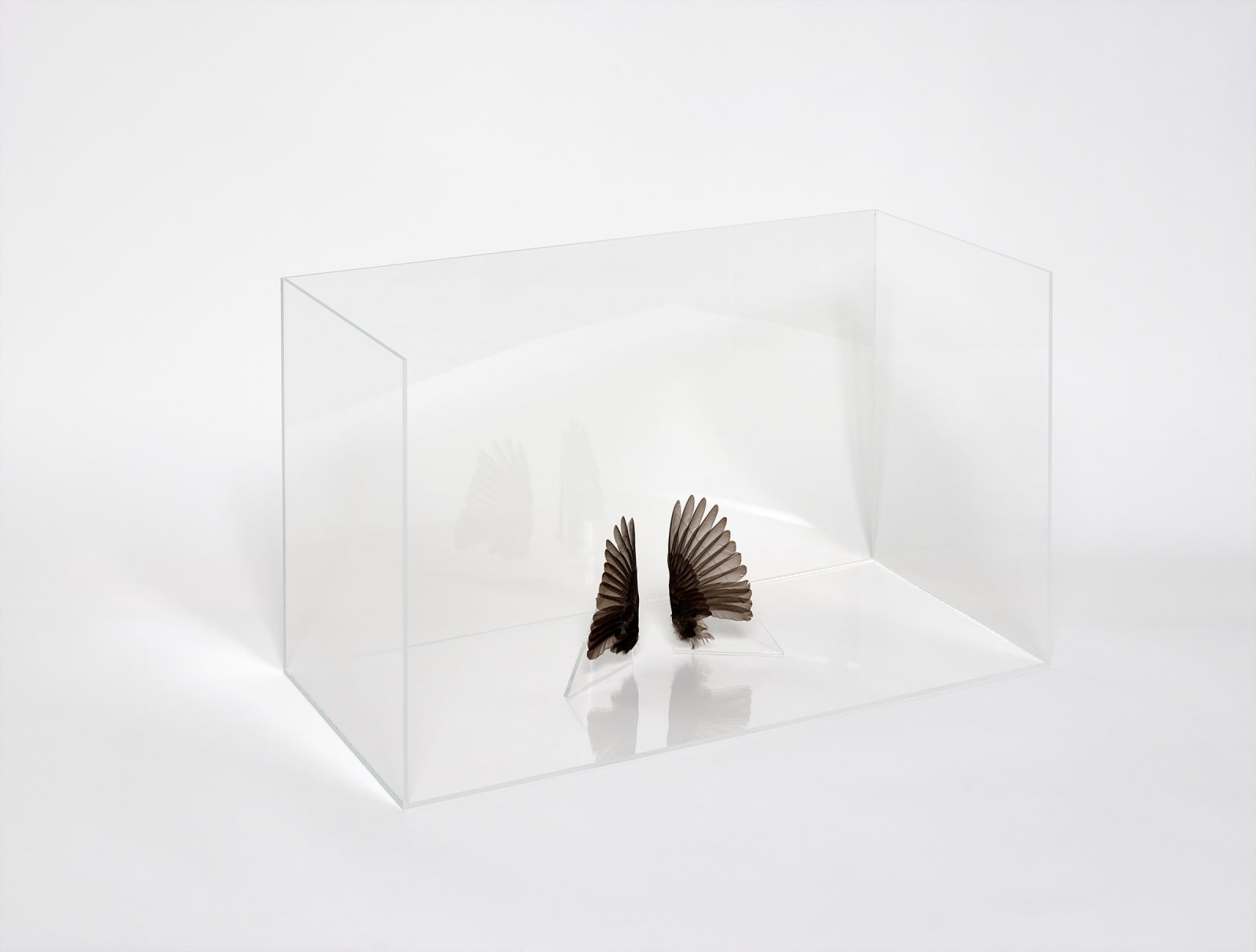Charlotte Brüel, Invisible sculpture, 2020