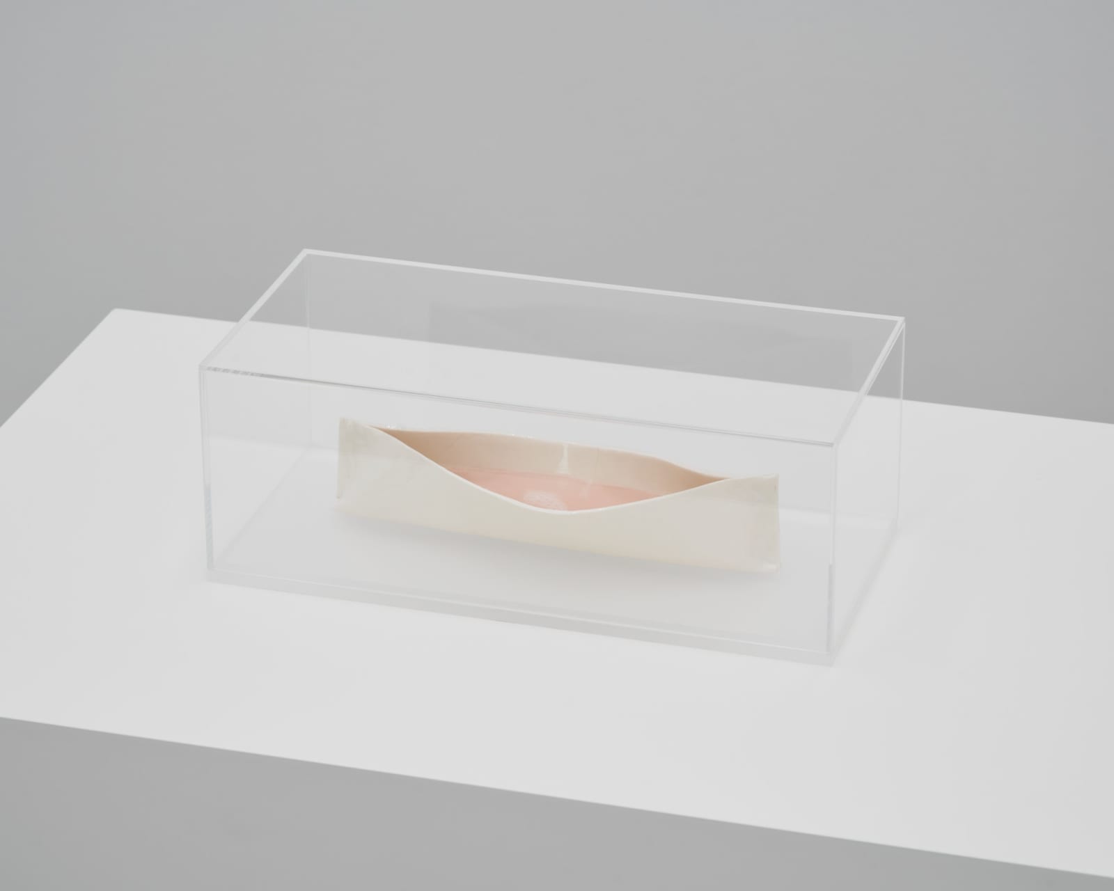 Tove Storch, Untitled, 2022