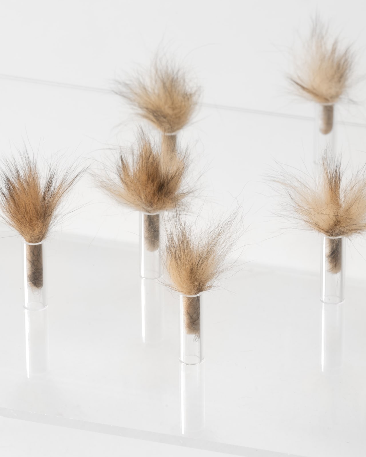 Charlotte Brüel, Invisible sculpture, 2020