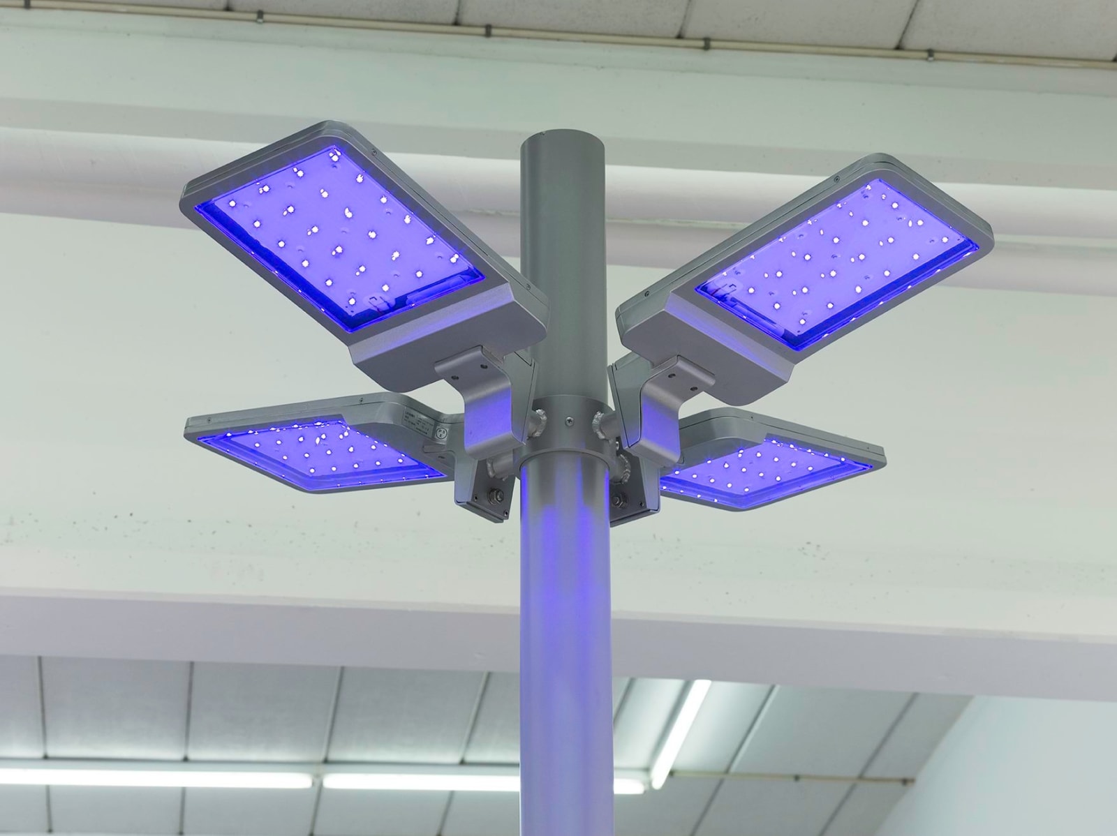 Gardar Eide Einarsson, Distinct Functional Layers Help Establish Hierarchy and Order, 2016