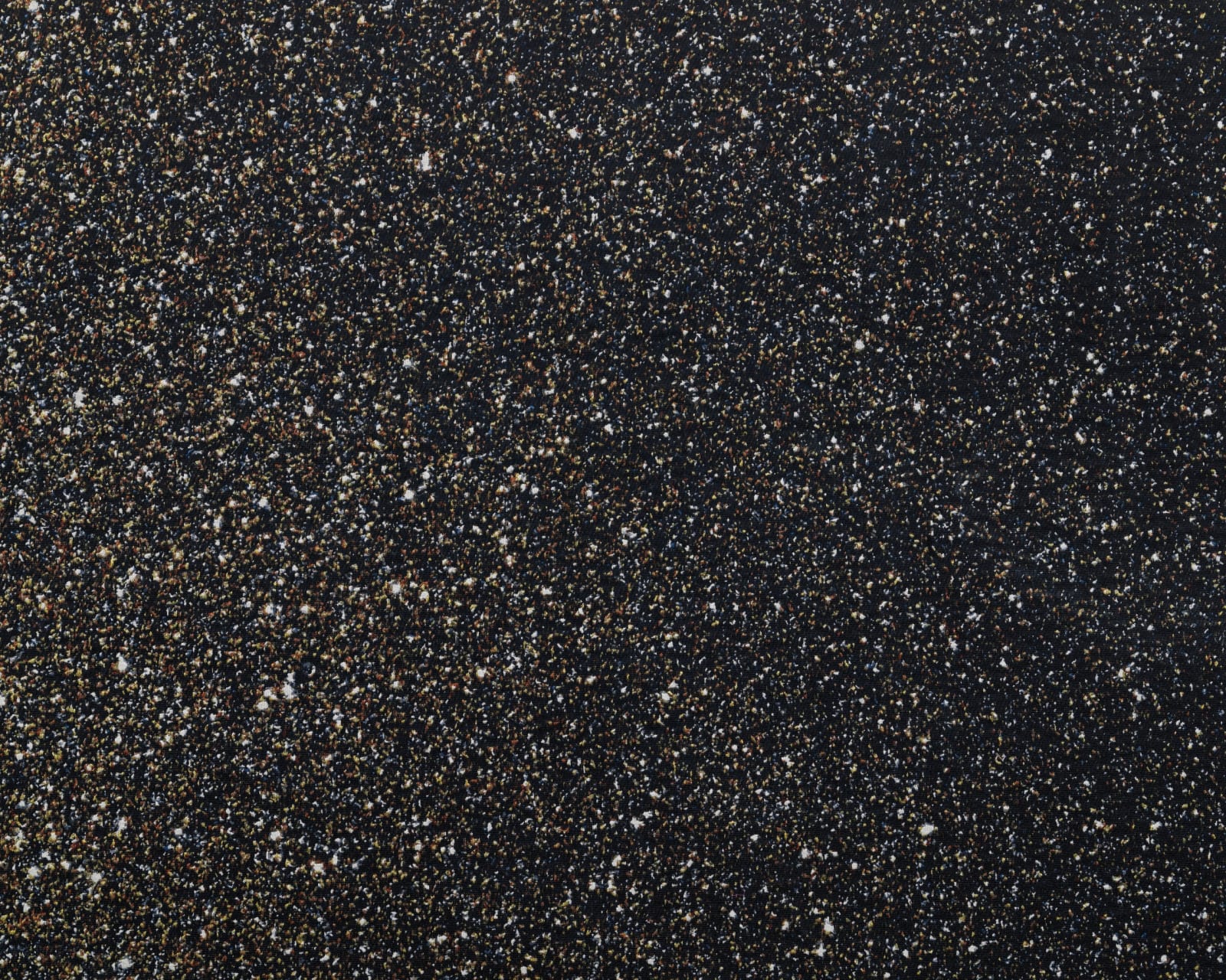 Miriam Bäckström, New Enter Image I, 2016