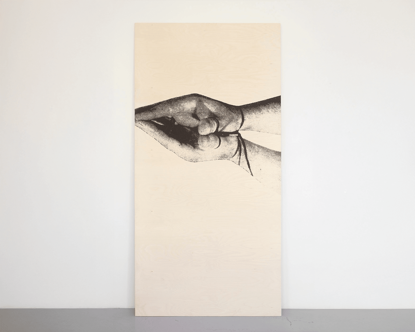 Gardar Eide Einarsson, Prisoner handling (use of light cord I), 2013