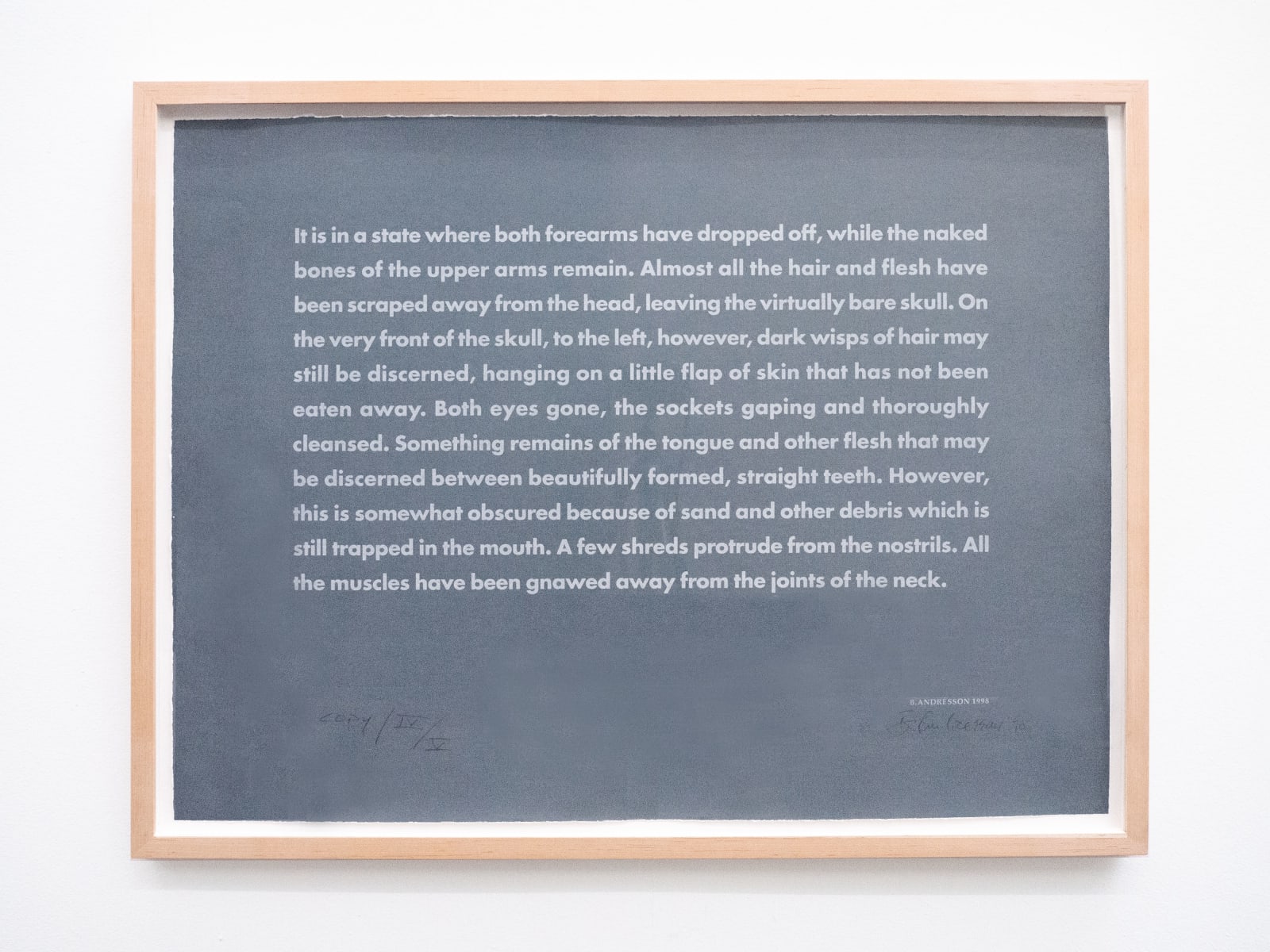 Birgir Andrésson, Corps wash a shore, 1998