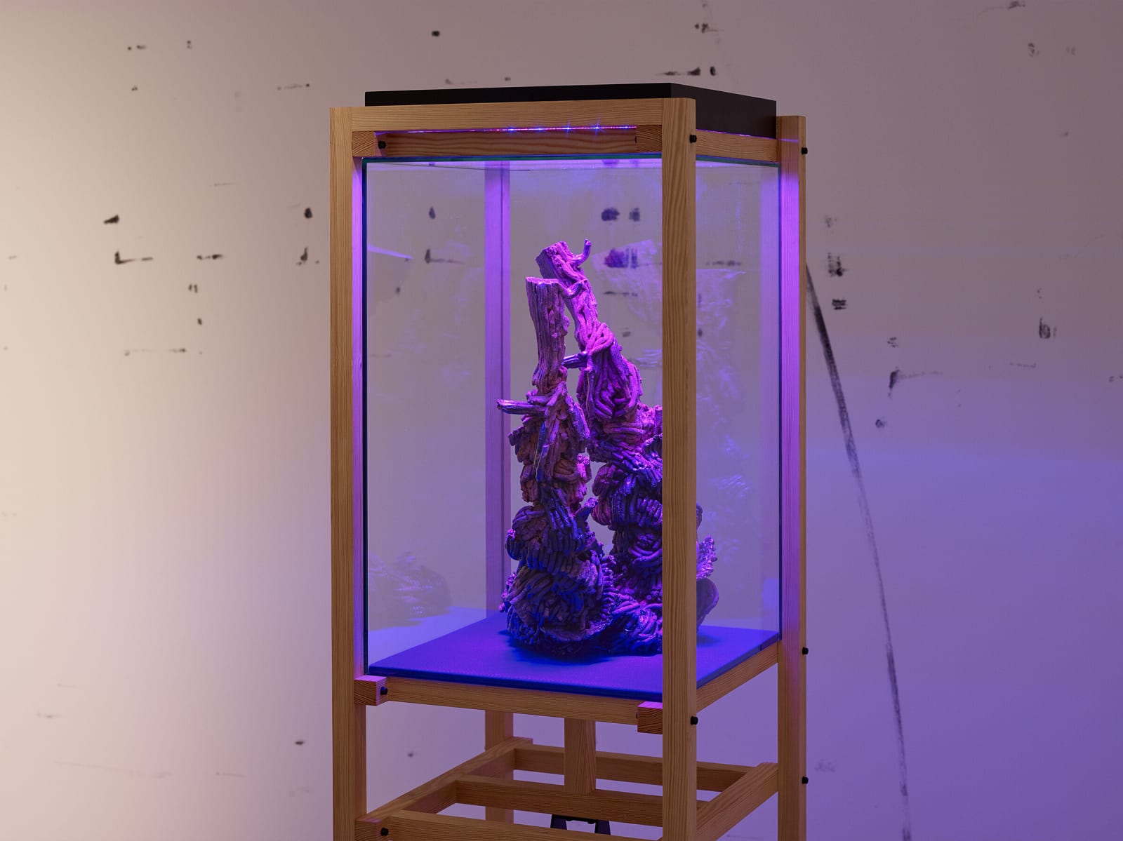 FOS, @”v ha”ydr@dZ@n (all palace) glI”s@nIN, 2018