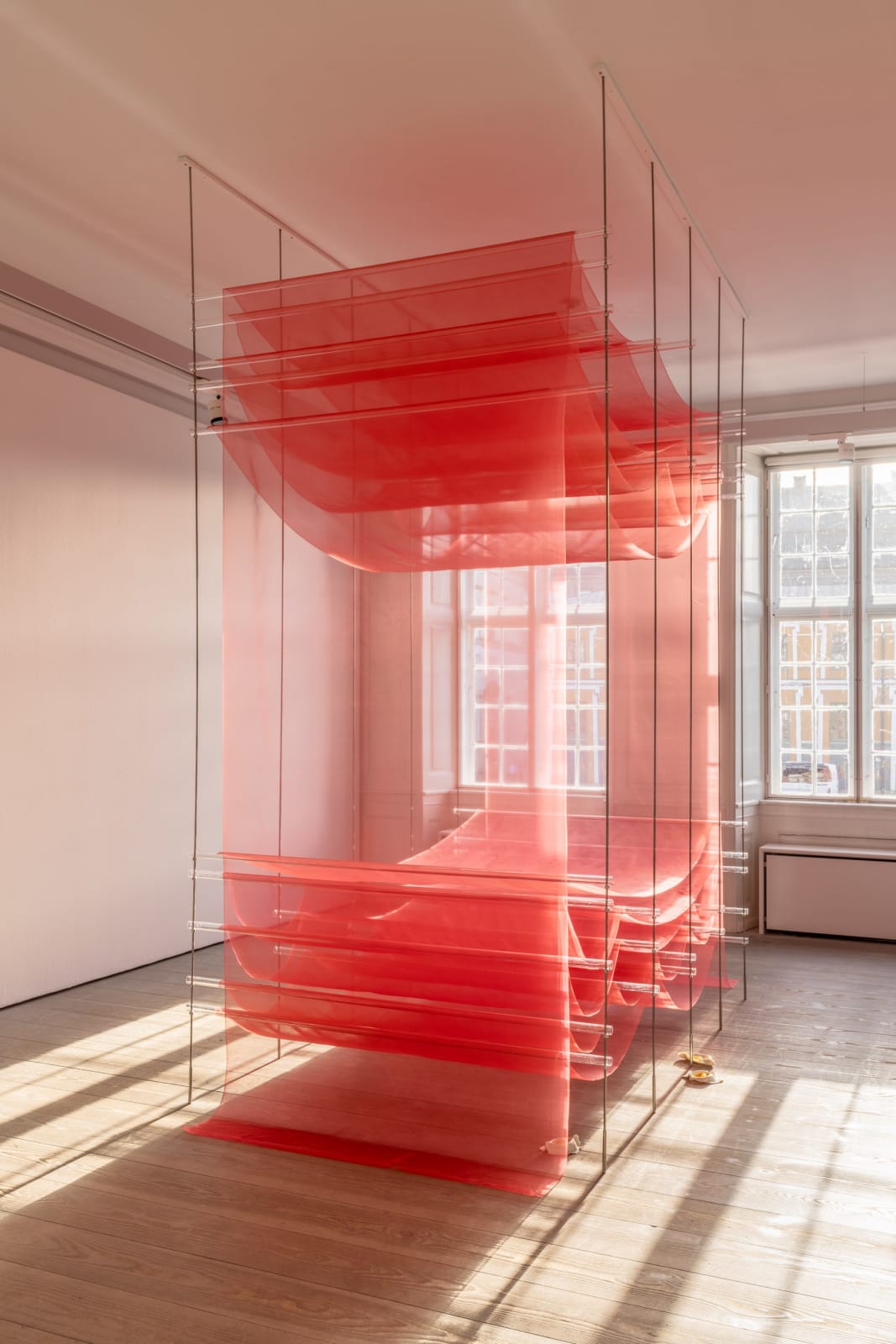 Tove Storch, Untitled, 2024