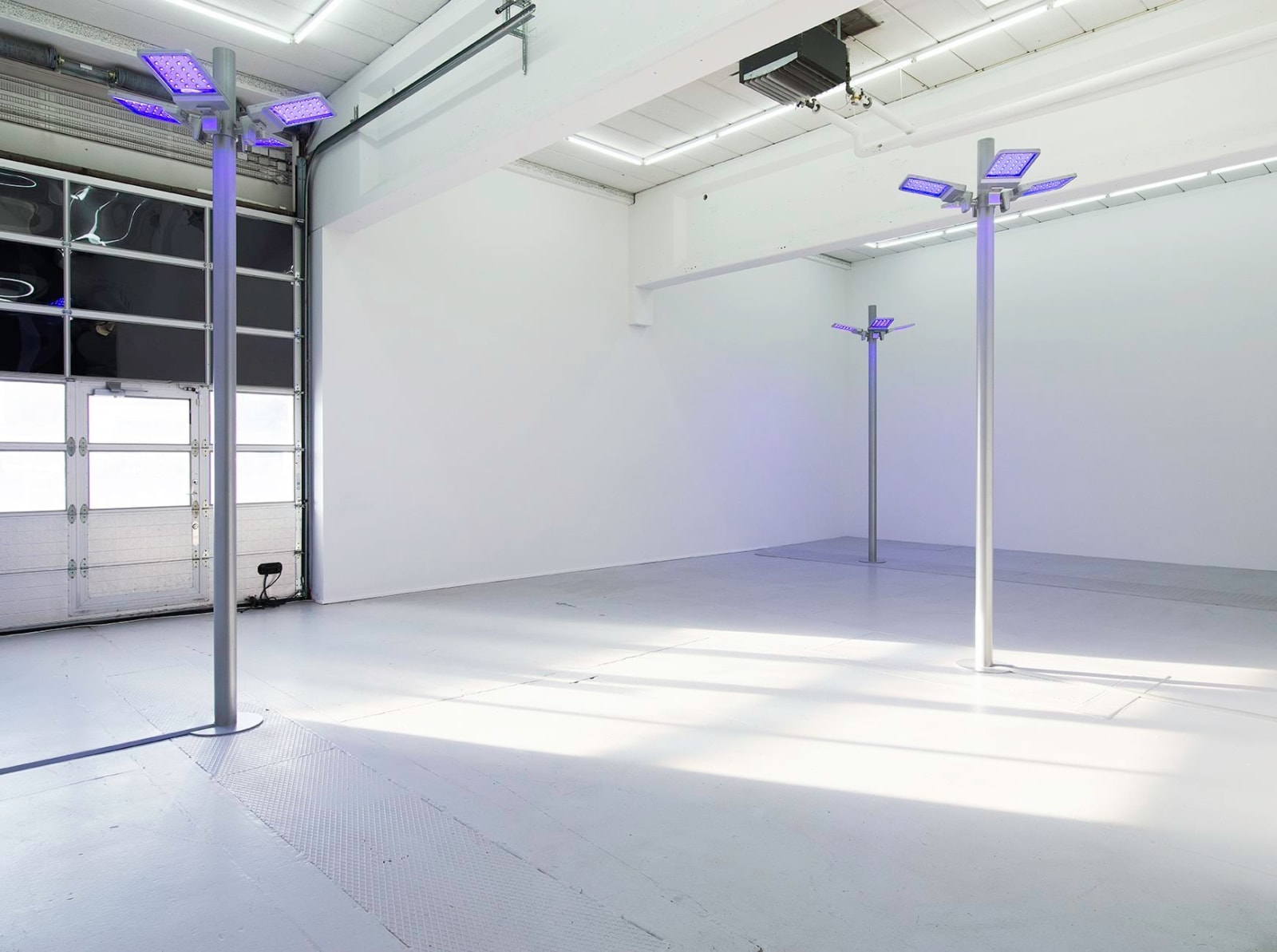 Gardar Eide Einarsson, Distinct Functional Layers Help Establish Hierarchy and Order, 2016