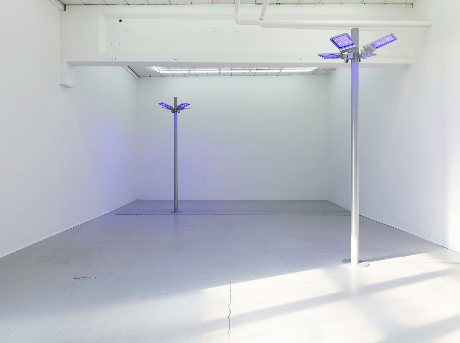 Gardar Eide Einarsson, Distinct Functional Layers Help Establish Hierarchy and Order, 2016