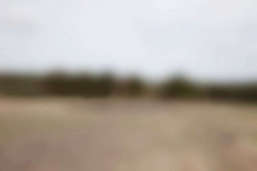 Mads Gamdrup, Danmark under forvandling, 2008-2009